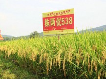 关于为您解答qy98千亿国际手机登录
(今日最新解答)的相关图片