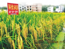 关于为您解答qy98千亿国际手机登录
(今日最新解答)的相关图片